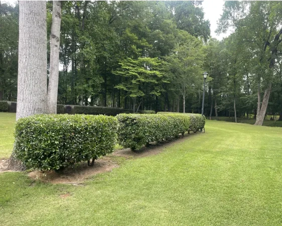 Landscaping Solutions (2)