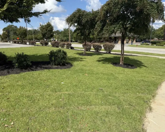 Lawncare